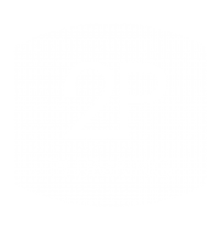 2P Plumbing Logo_WHITE